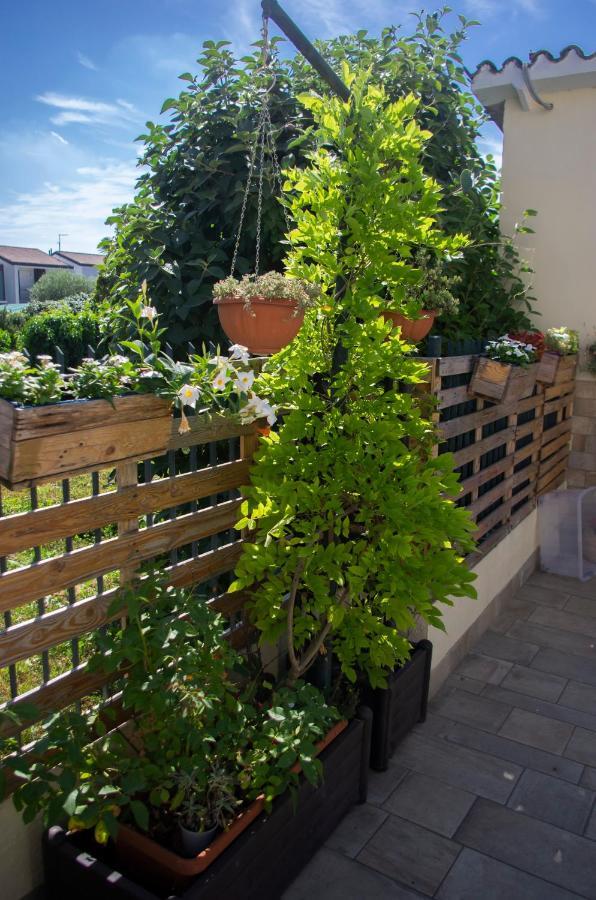 B&B Dai Carari Spinea Exteriör bild
